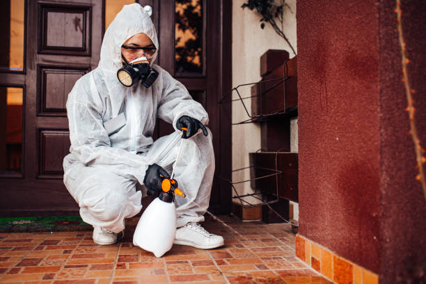 Reliable Ant Control contractor in Smithfield, VA by Show Me Pest Control